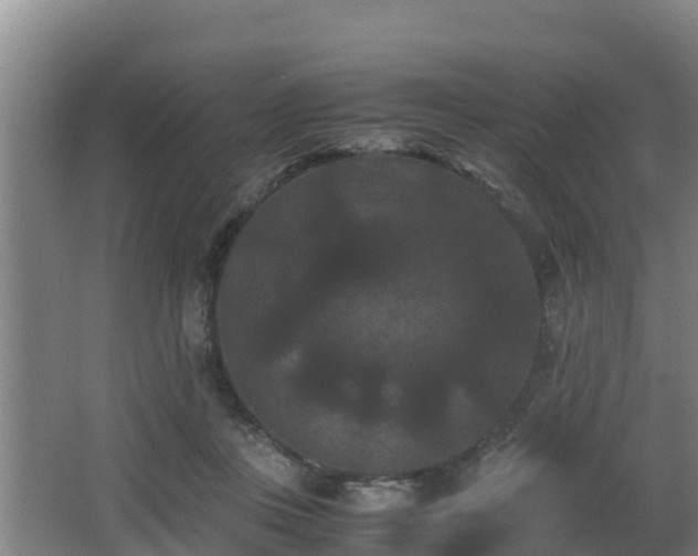 X0000062830359200601171425