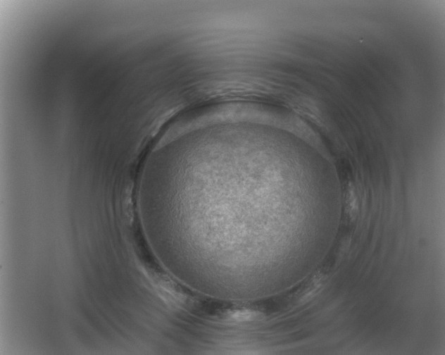 X0000062830360200601171425