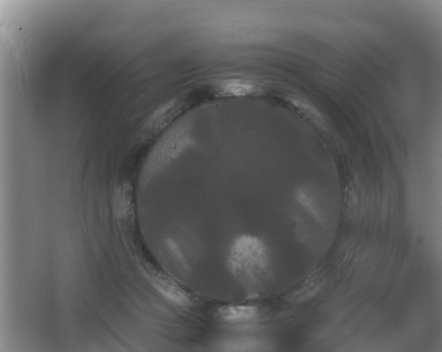 X0000062830361200601171425