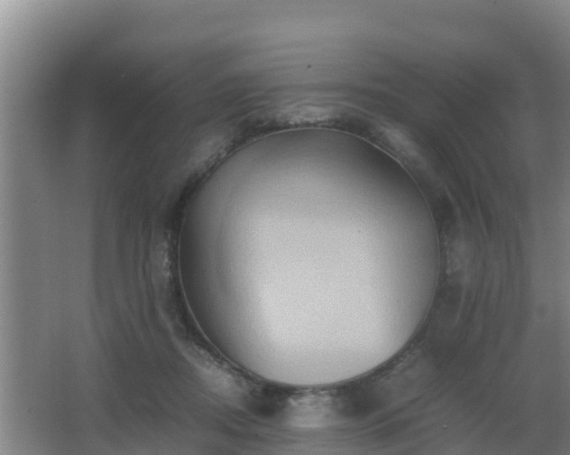 X0000062830362200601171425