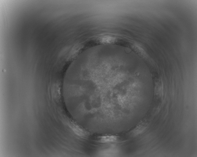 X0000062830363200601171425