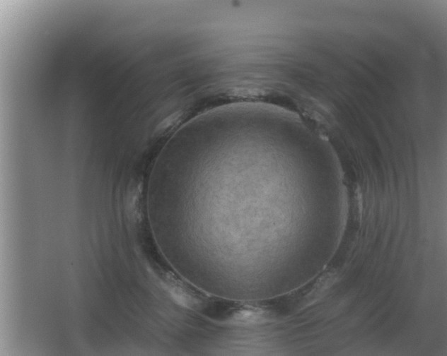 X0000062830364200601171425