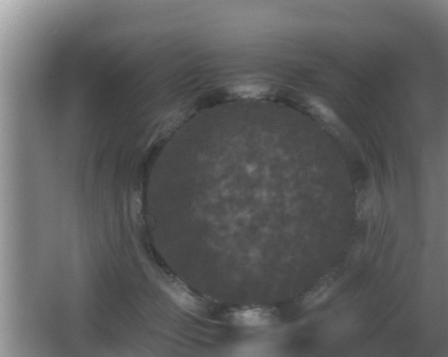 X0000062830365200601171425