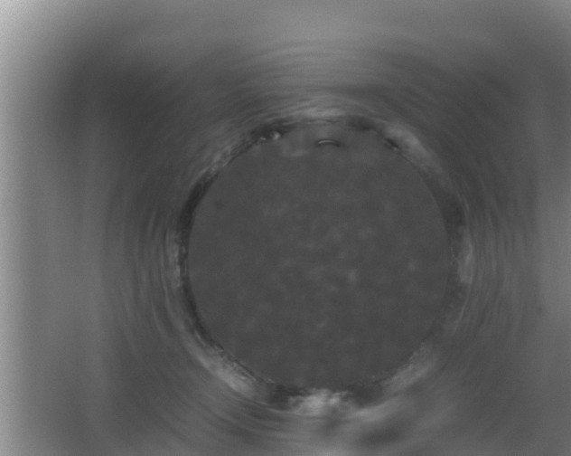 X0000062830366200601171425