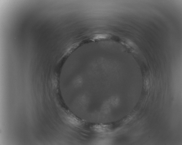 X0000062830367200601171425