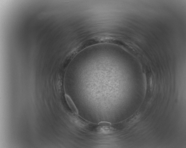 X0000062830372200601171425