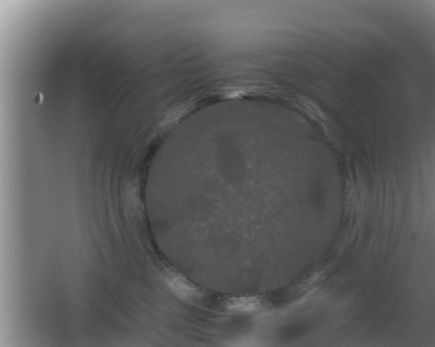 X0000062830377200601171426