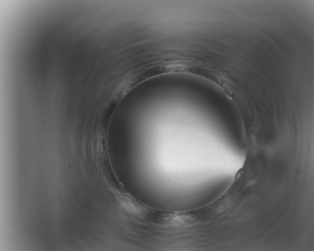 X0000062830379200601171426