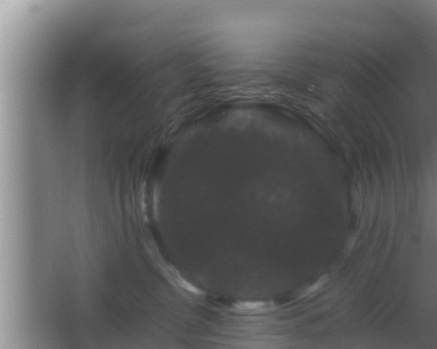 X0000062830380200601171426