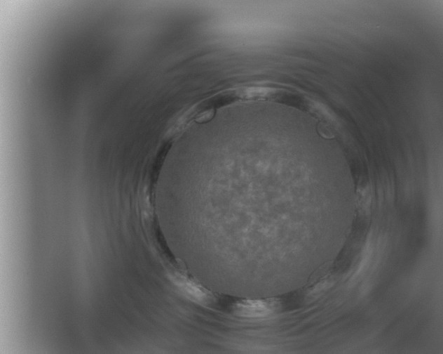 X0000062830381200601171426