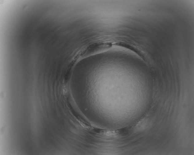 X0000062830384200601171426