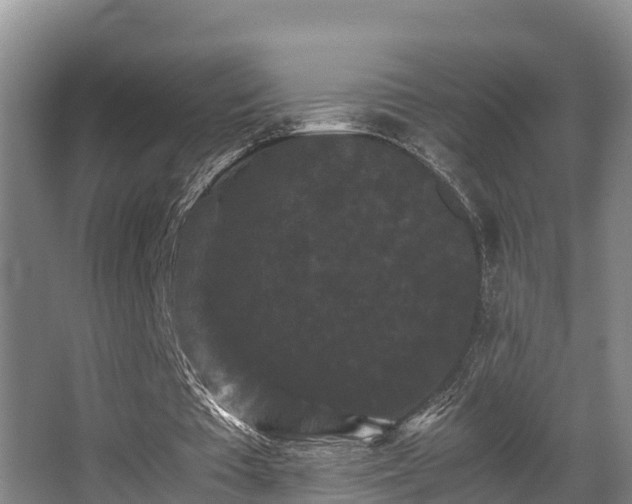 X0000062830385200601171425