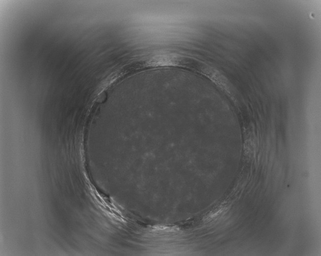 X0000062830386200601171425