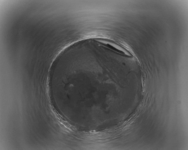 X0000062830387200601171425