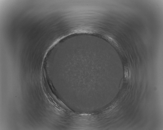 X0000062830388200601171425