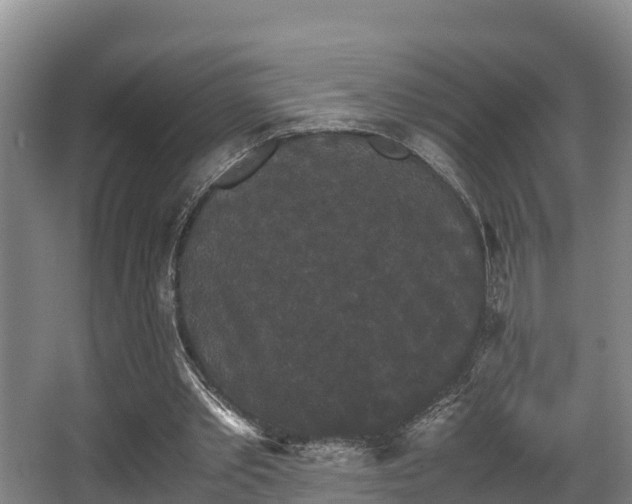 X0000062830389200601171425