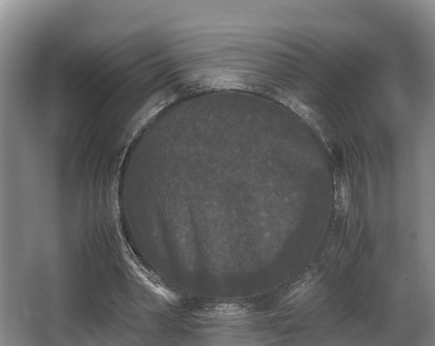 X0000062830390200601171425