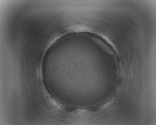 X0000062830391200601171425