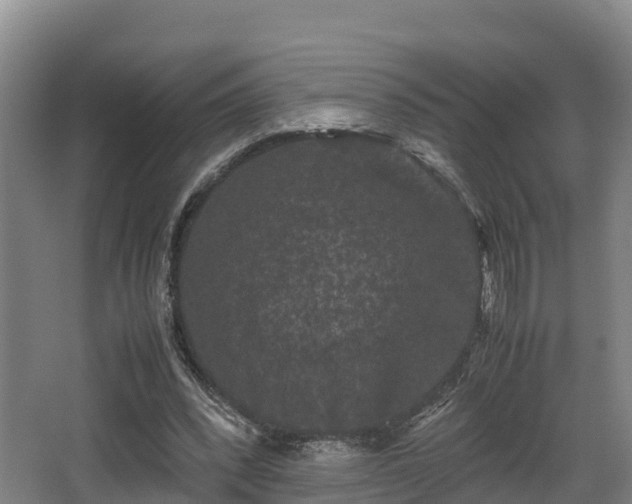 X0000062830392200601171425