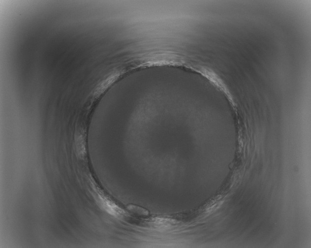 X0000062830393200601171425