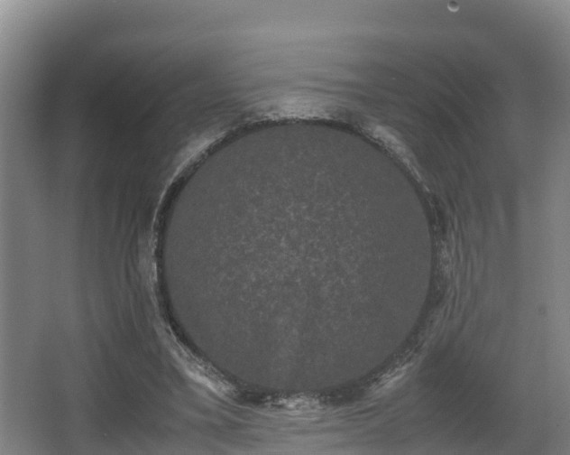 X0000062830395200601171425