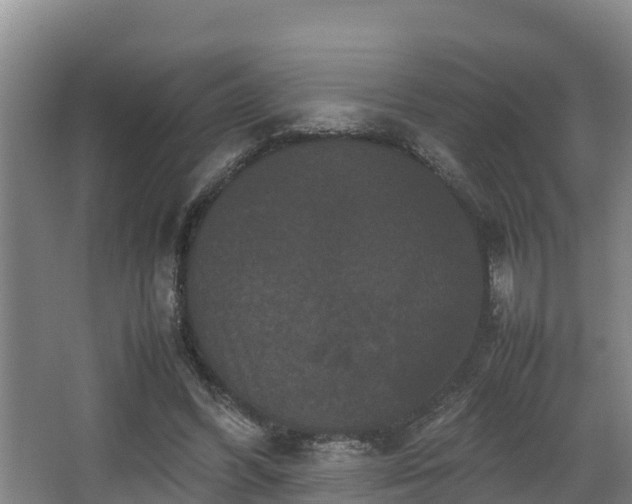 X0000062830396200601171425