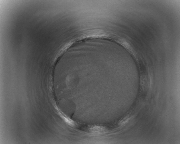 X0000062830397200601171425