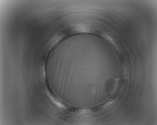 X0000062830398200601171425