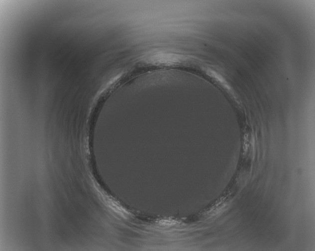 X0000062830399200601171425