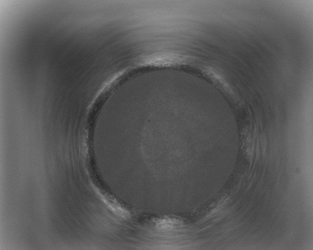 X0000062830400200601171425