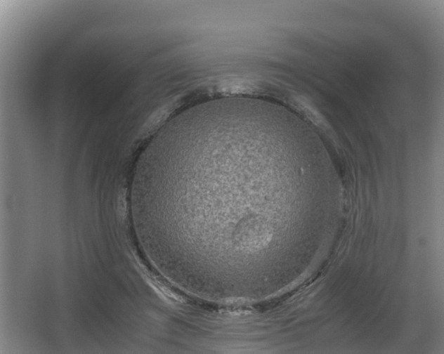 X0000062830401200601171425