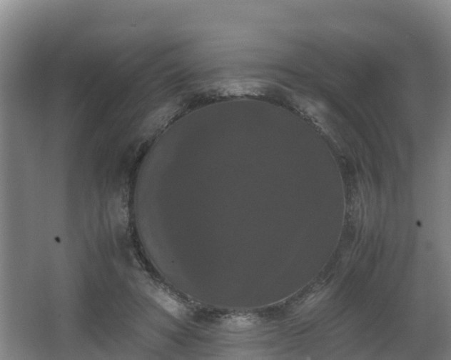 X0000062830402200601171425