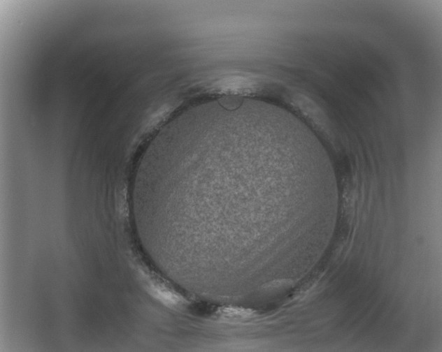 X0000062830403200601171425