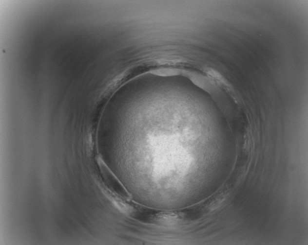 X0000062830405200601171425