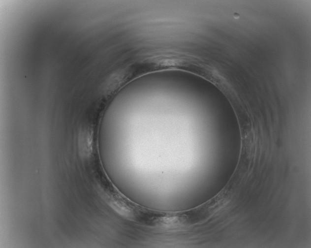 X0000062830406200601171425