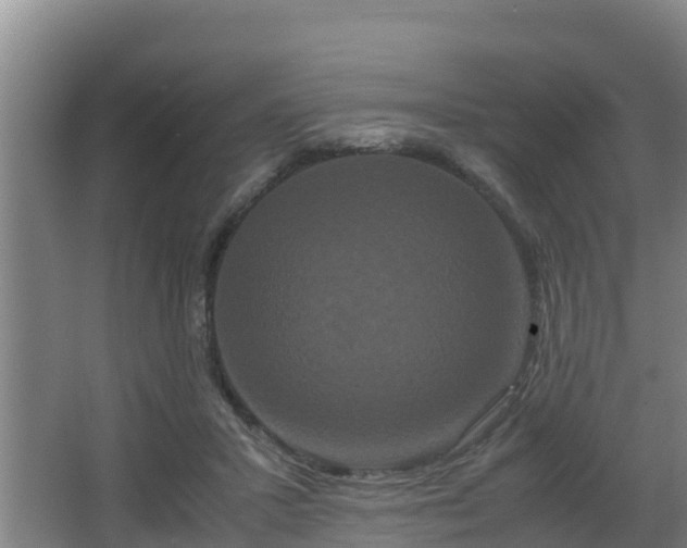 X0000062830407200601171424