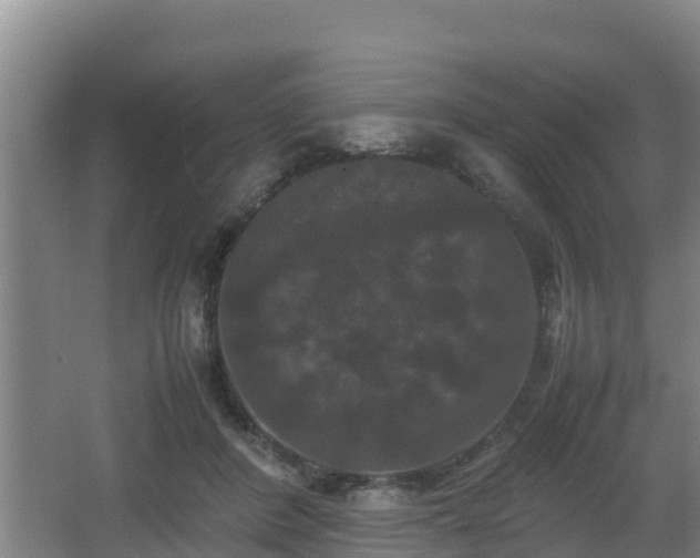 X0000062830408200601171424