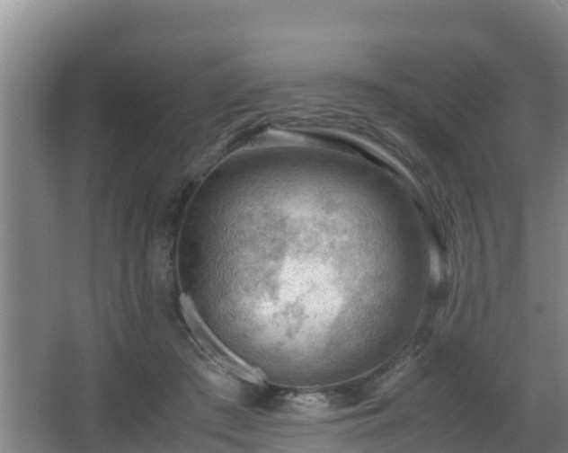 X0000062830409200601171424