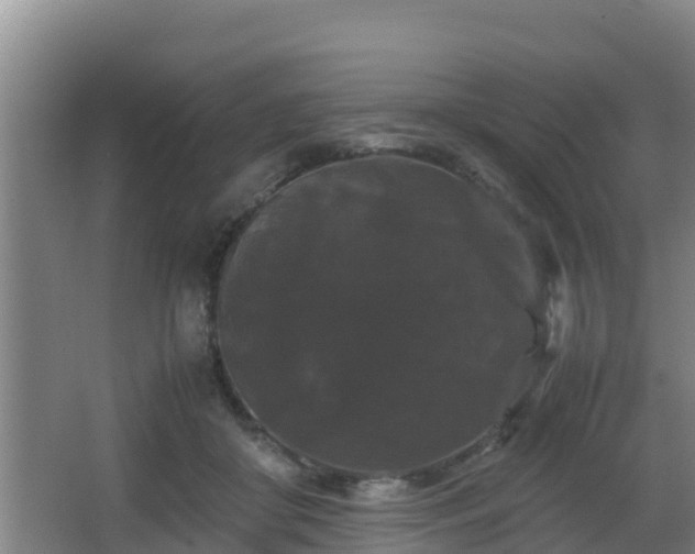 X0000062830410200601171424