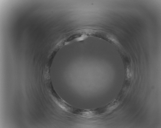 X0000062830411200601171424