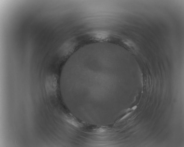 X0000062830412200601171424