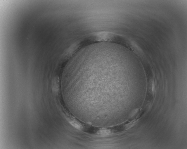 X0000062830413200601171424