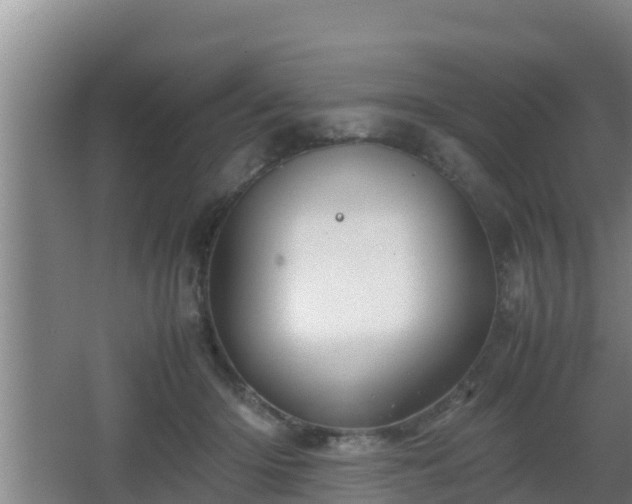 X0000062830414200601171424