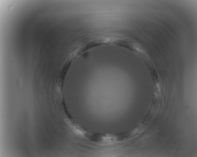 X0000062830415200601171424