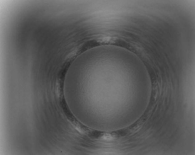 X0000062830416200601171424