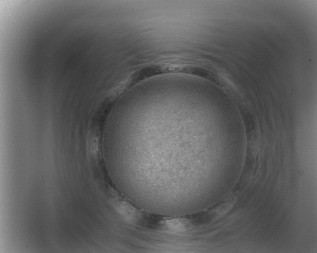 X0000062830417200601171424