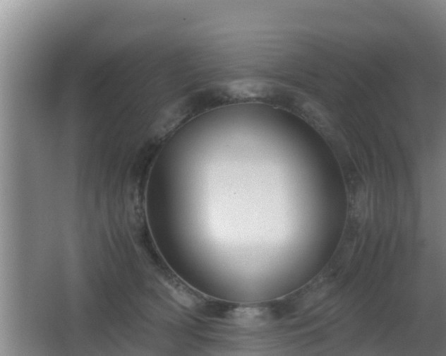 X0000062830418200601171424