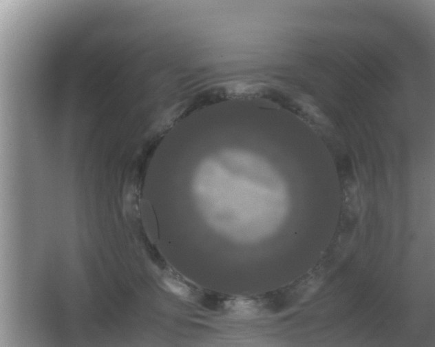 X0000062830419200601171424