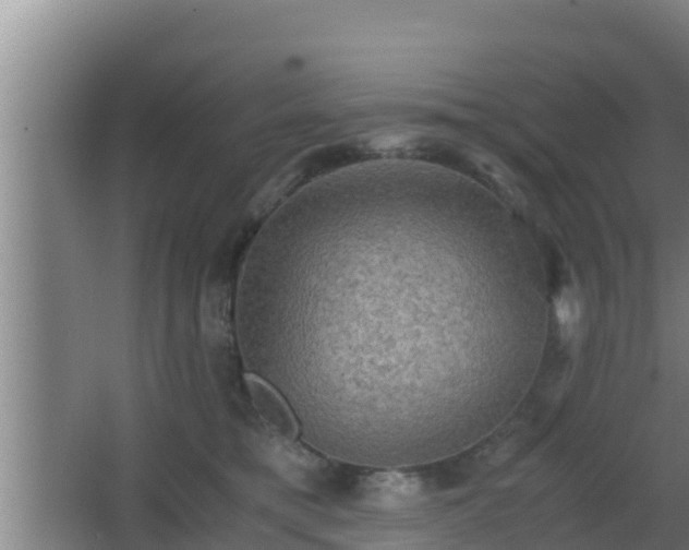 X0000062830421200601171424