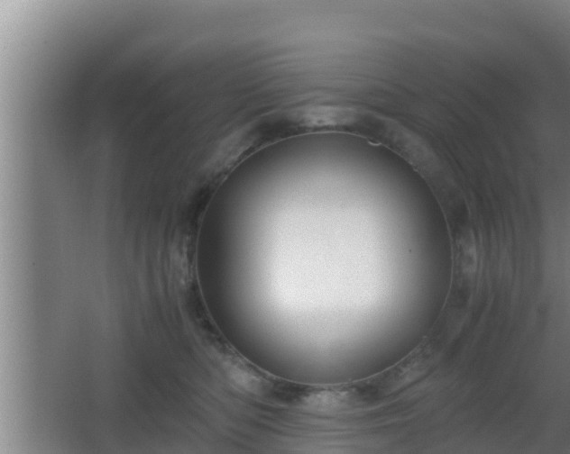 X0000062830422200601171424